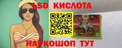 Альфа ПВП Кунгур