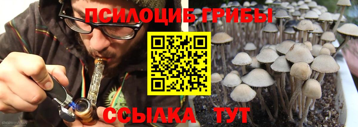 Керчь  Псилоцибиновые грибы ЛСД  Галлюциногенные грибы мицелий  Вход с VPN 