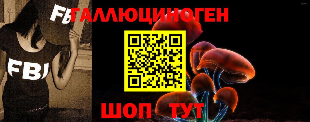 Псилоцибиновые грибы прущие грибы Керчь